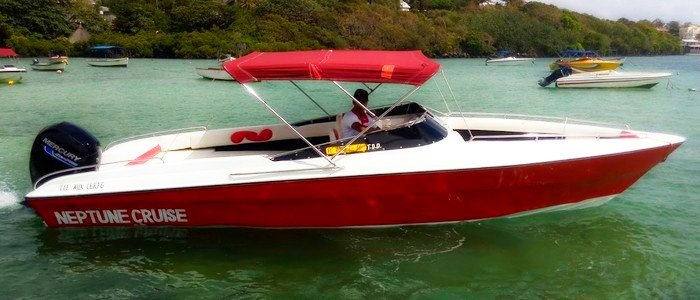 ile aux cerfs en bateau rapide